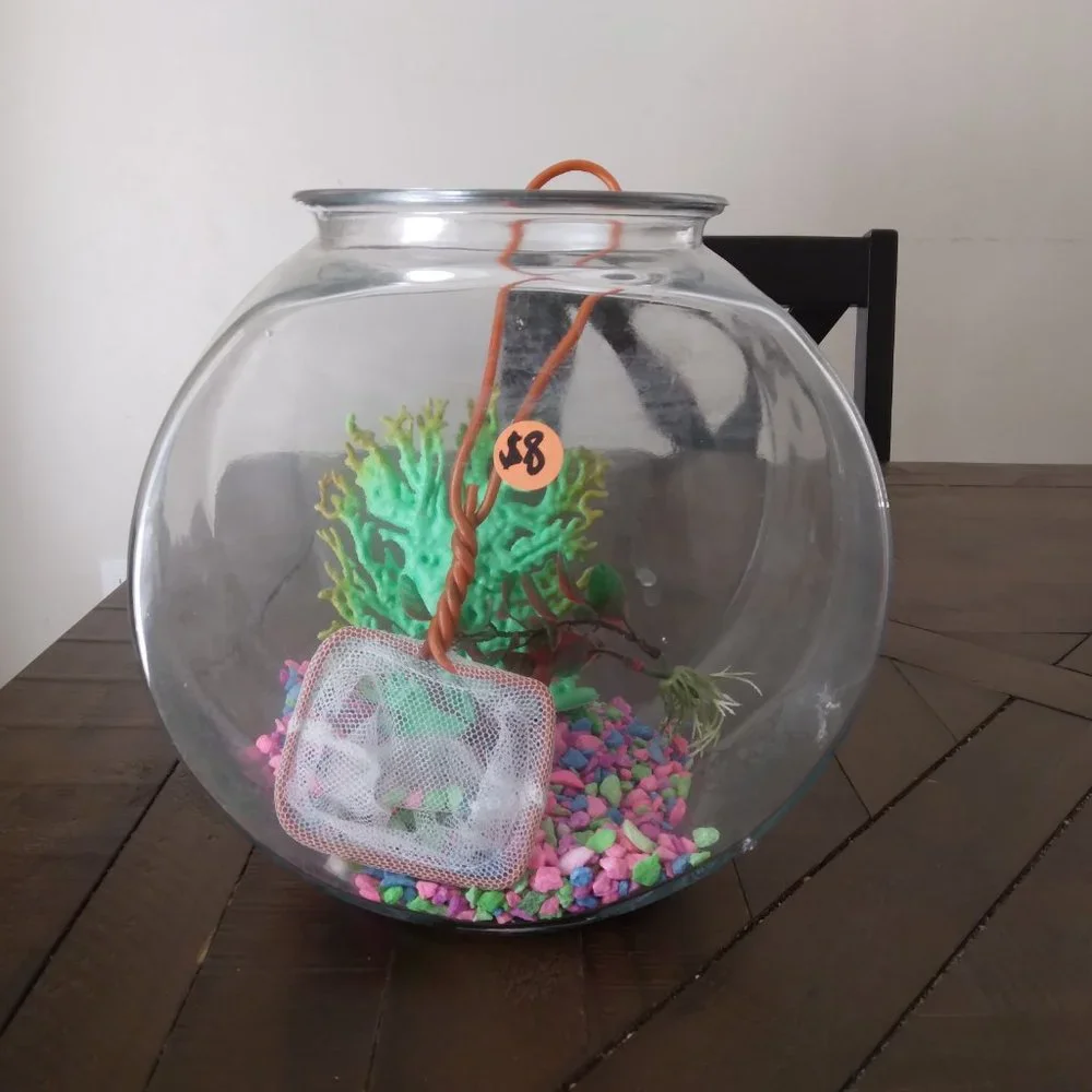 Gold fish Aquarium